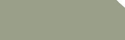 Dulux Duralloy® Pale<br />
Eucalypt® - Satin<br />
2726474S